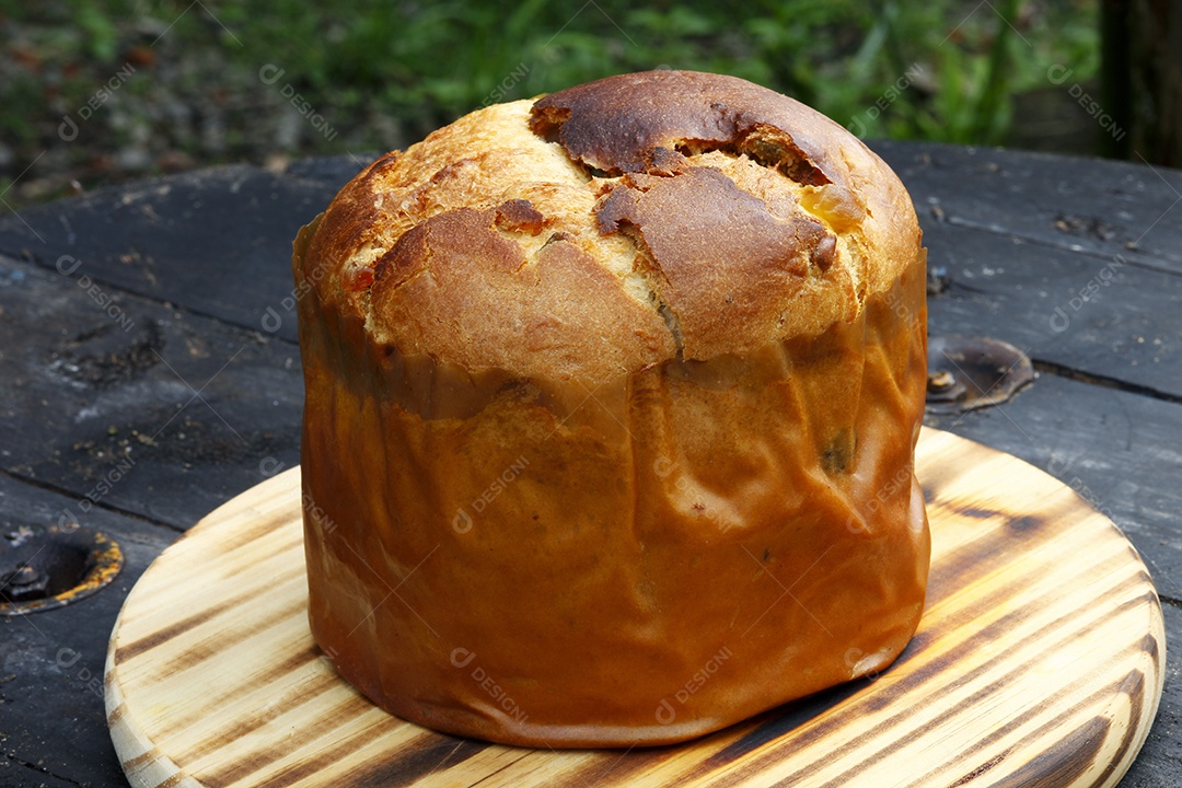 Panetone delicioso tradicional