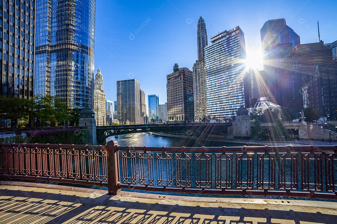 Rio em Chicagolinda vista da cidade