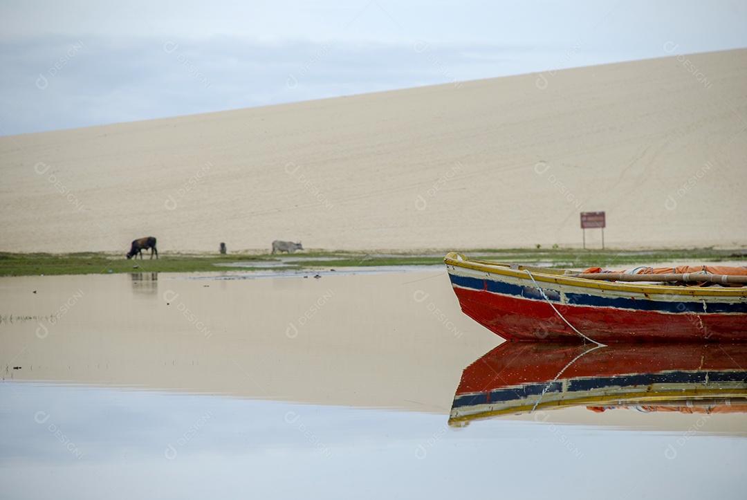 Barco ancorado com vista de uma duna e animais próximo a água