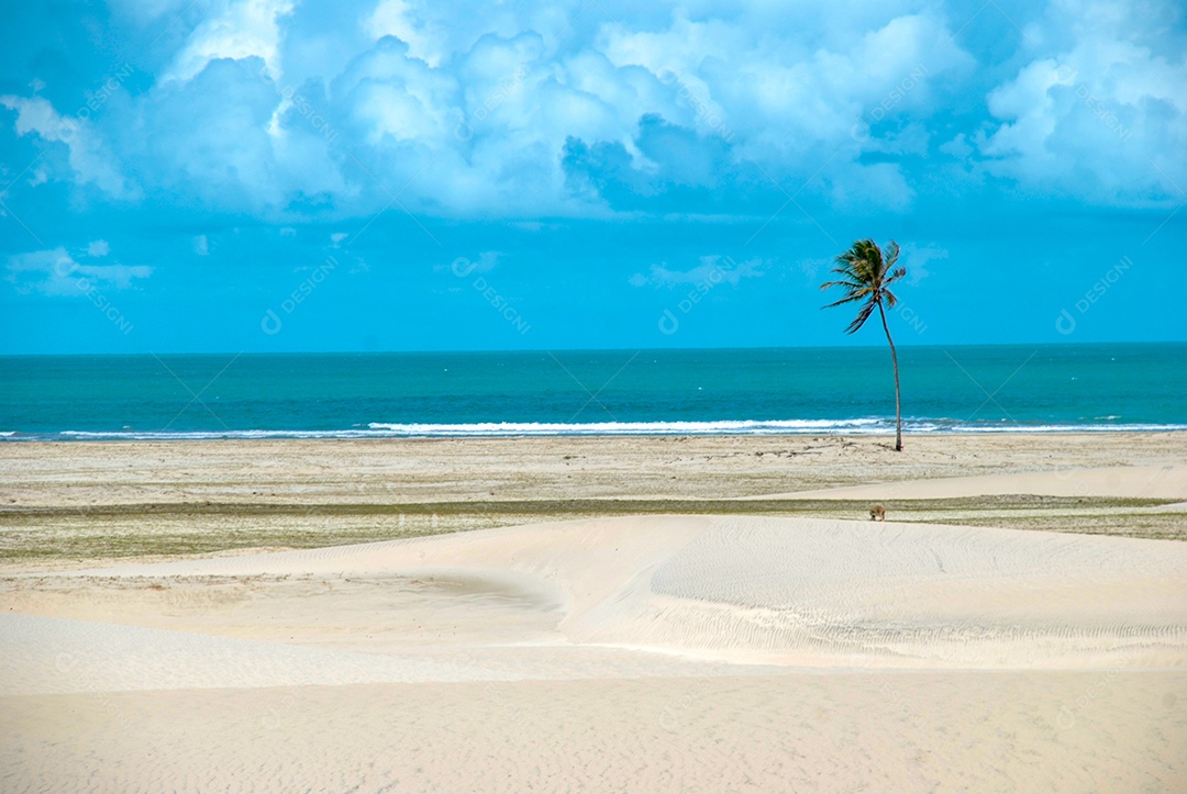 Uma praia virgem escondida atrás das dunas da costa oeste de Jijoca