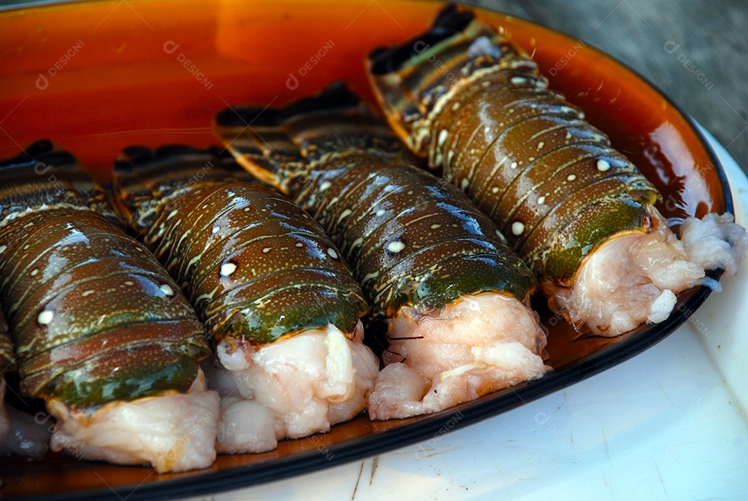 Lagosta crua fresca