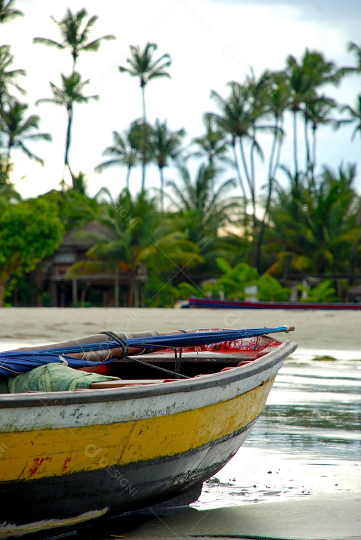 Jericoacoara é uma praia virgem escondida atrás das dunas do norte