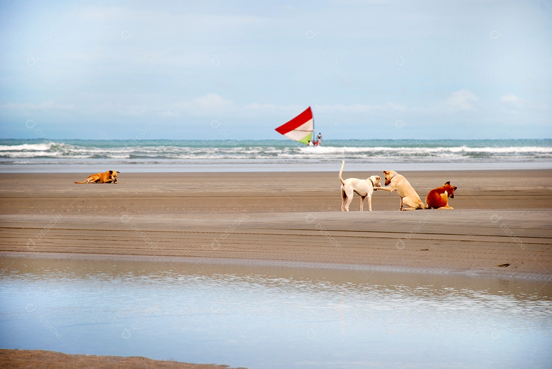 Jericoacoara é uma praia virgem escondida atrás das dunas