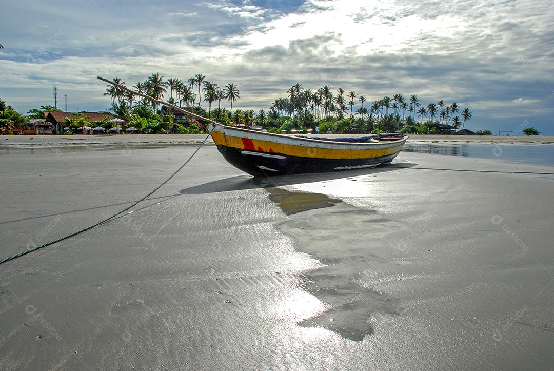 Barcos ancorado em uma praia de Jijoca