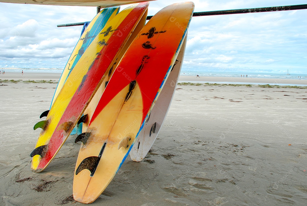 Pranchas de surf em Jericoacoara