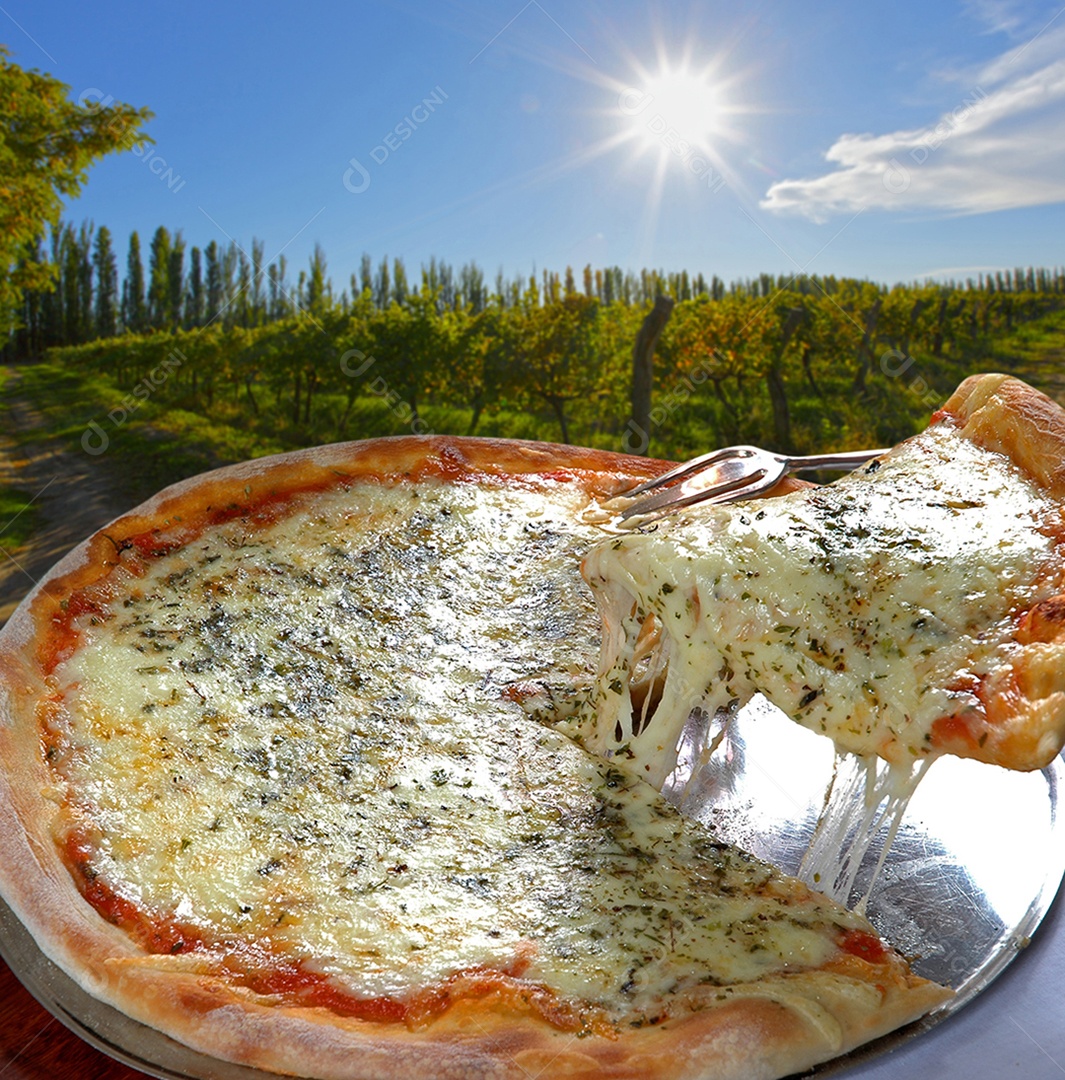 Fatia de pizza queijo derretido