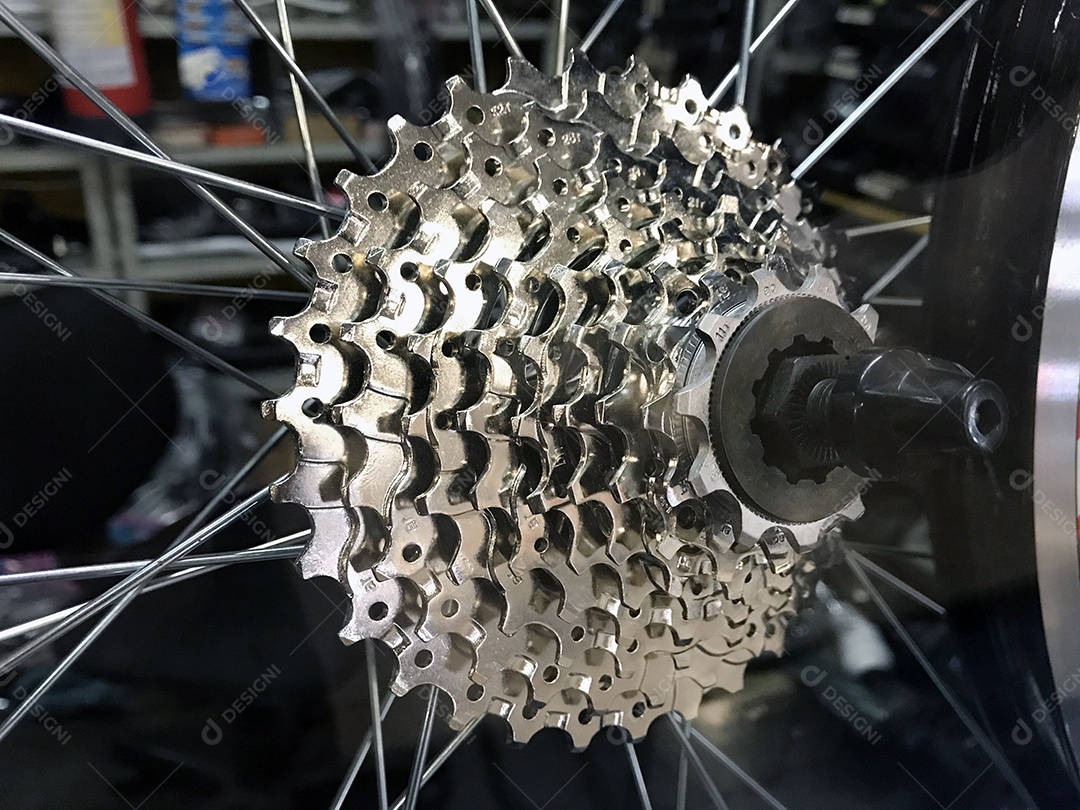 Catraca de engrenagem de bicicleta
