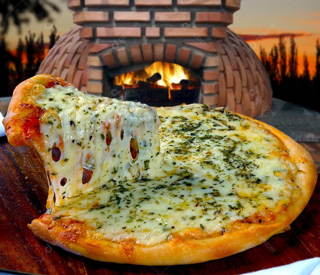 Pizza de mussarela com orégano