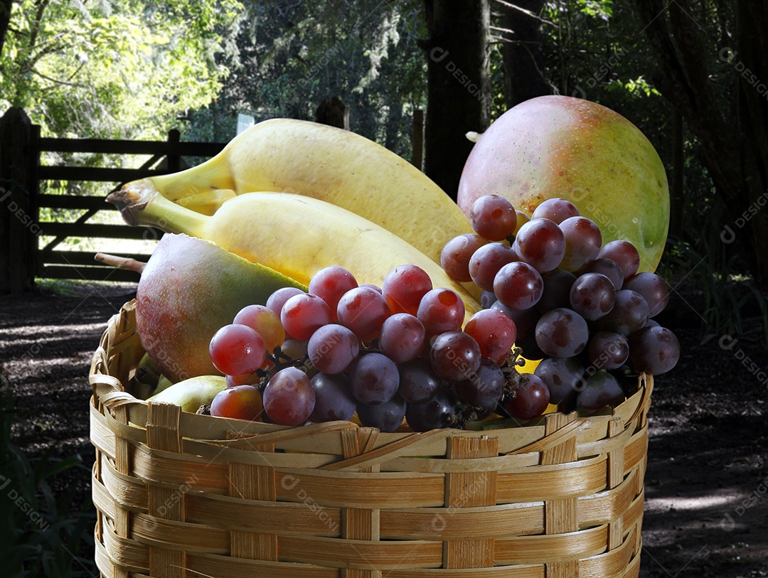 Cesta de vime com muitas frutas deliciosas fresca