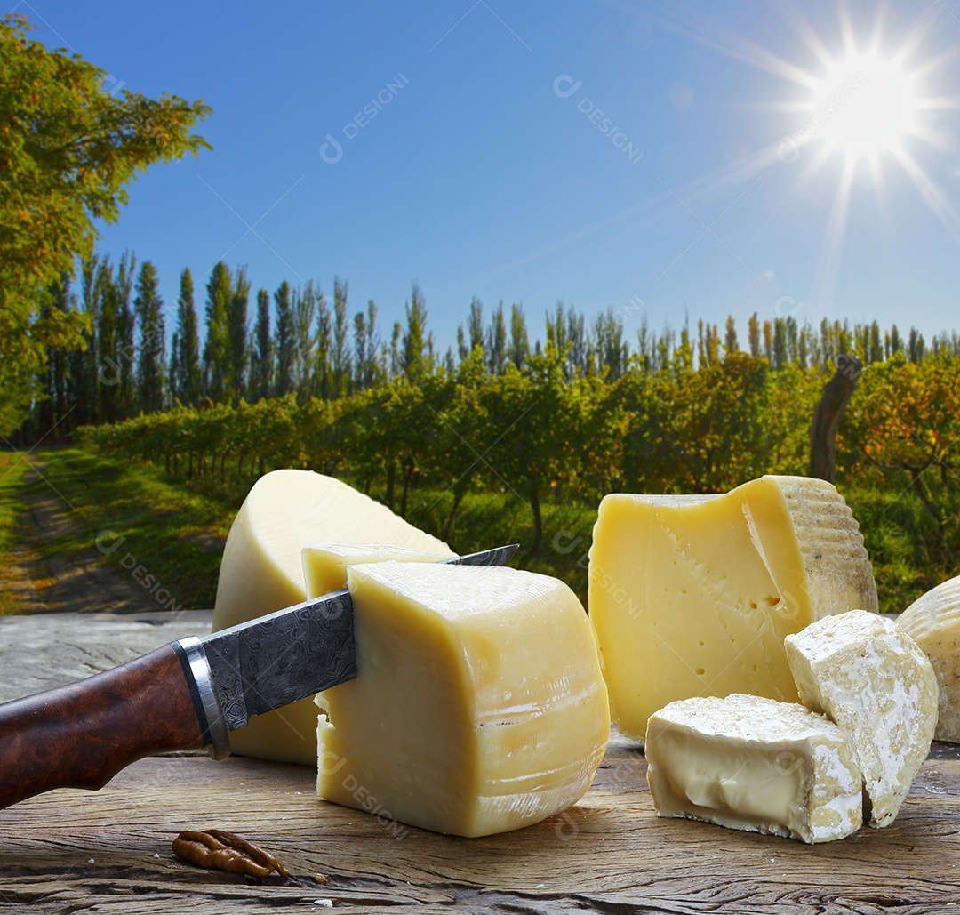 Mesa com queijos canastras e uma faca cortando