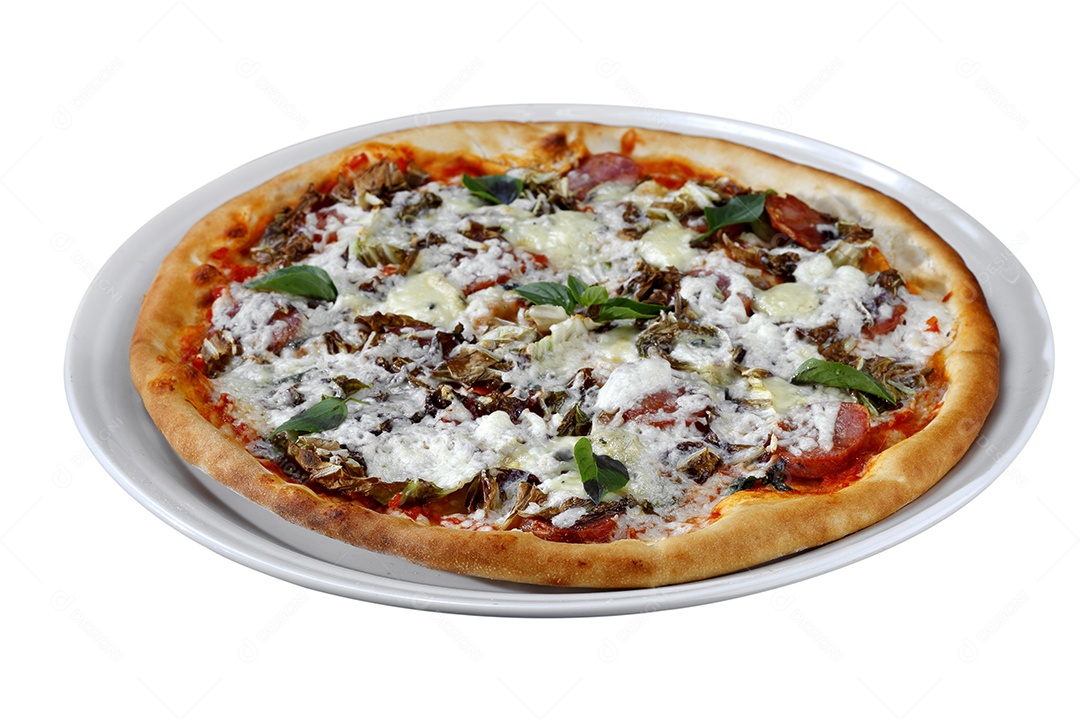 Pizza deliciosa de queijo