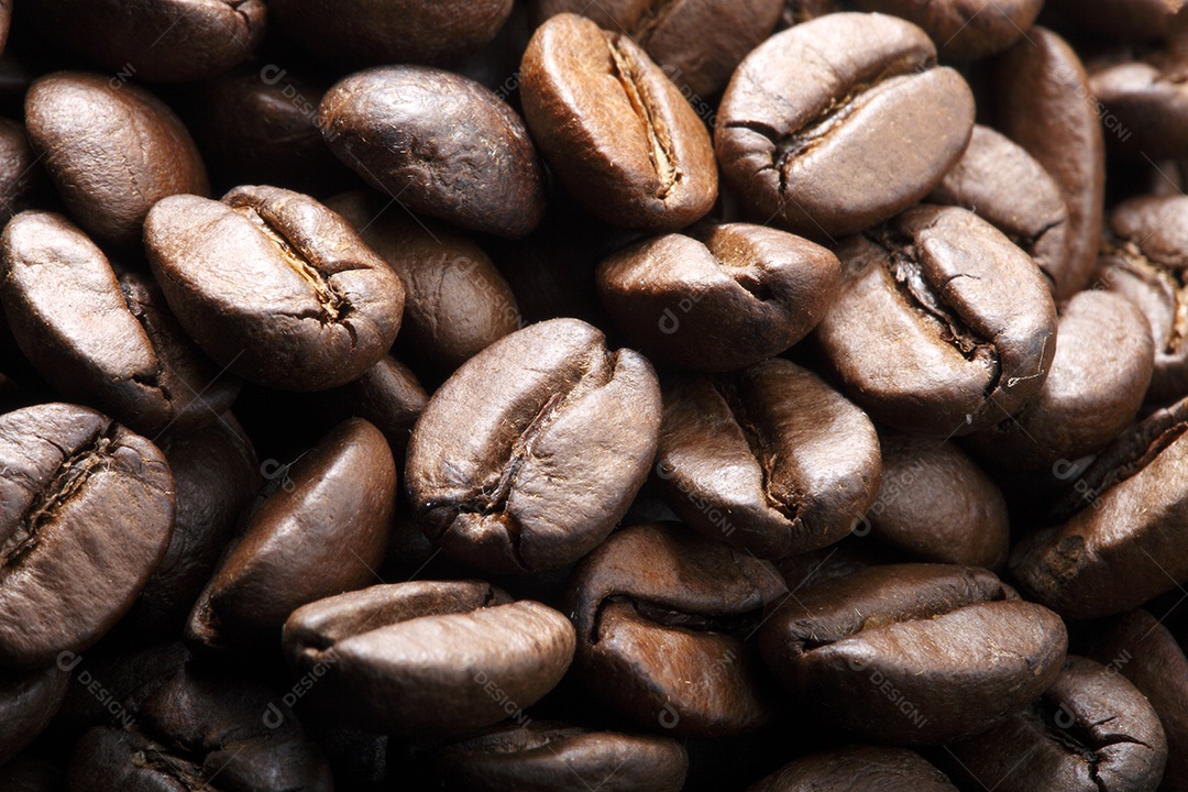 Grãos de café torrado