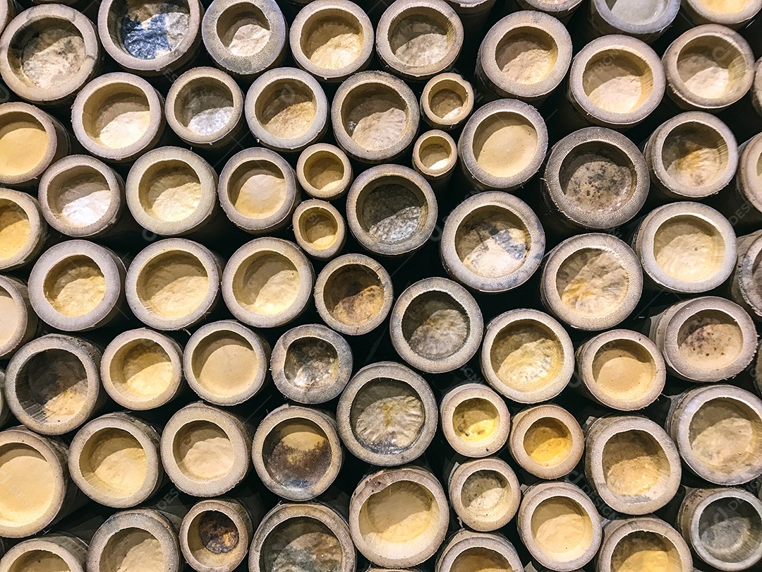 Bambu remo usado como fundo e textura