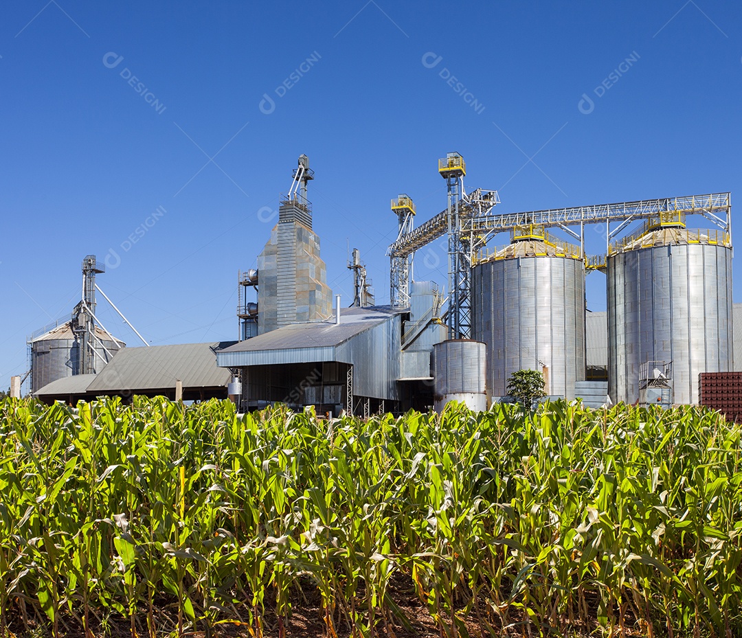 As complexas instalações de silos para armazenamento de grãos