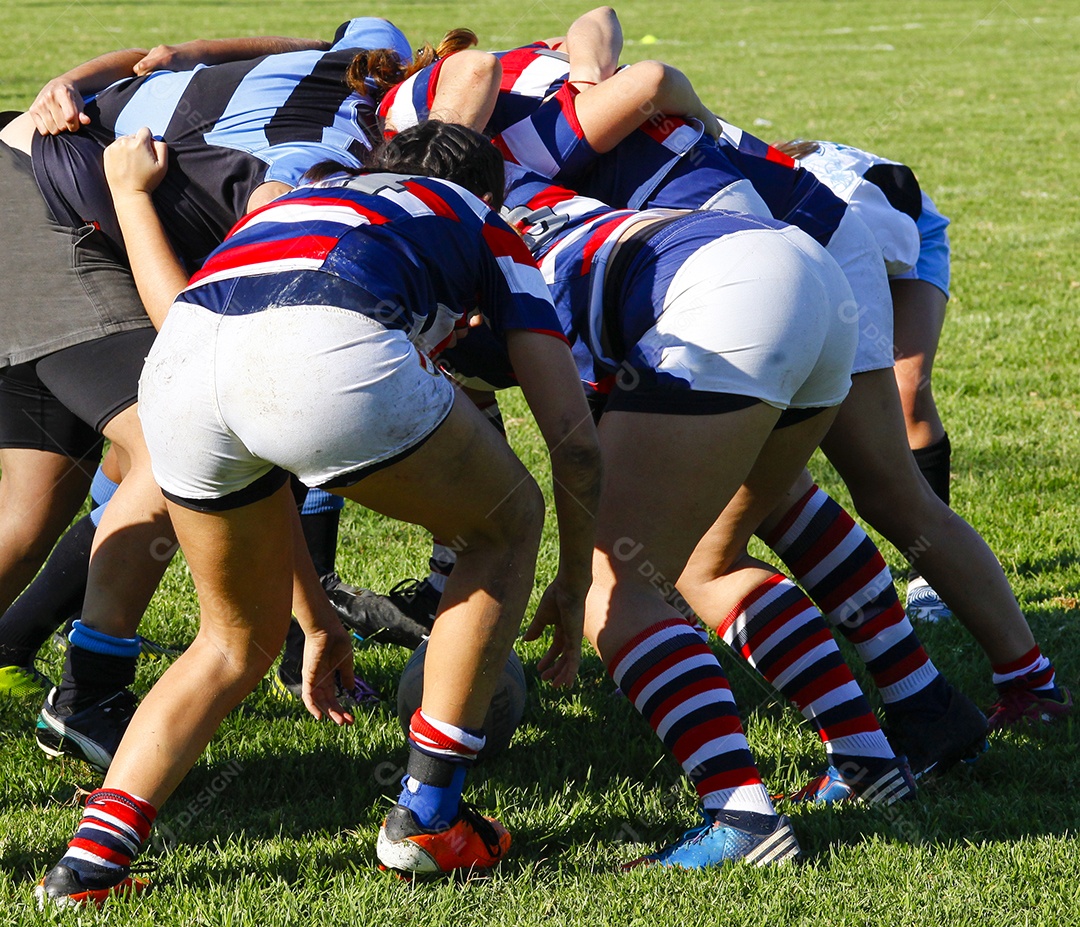 Competição de rugby feminino
