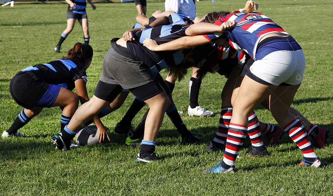 Competição de rugby feminino