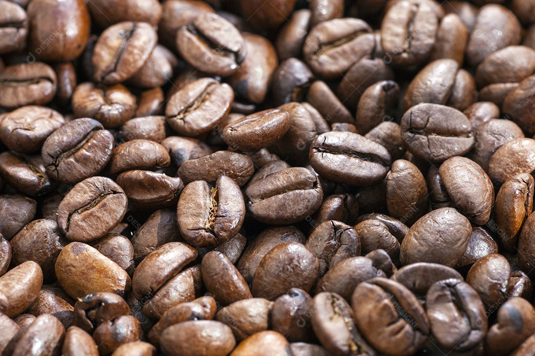 Grão de café torrado café do Brasil