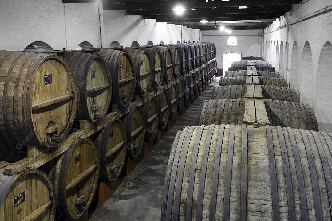 Vinhedo e barricas de madeira