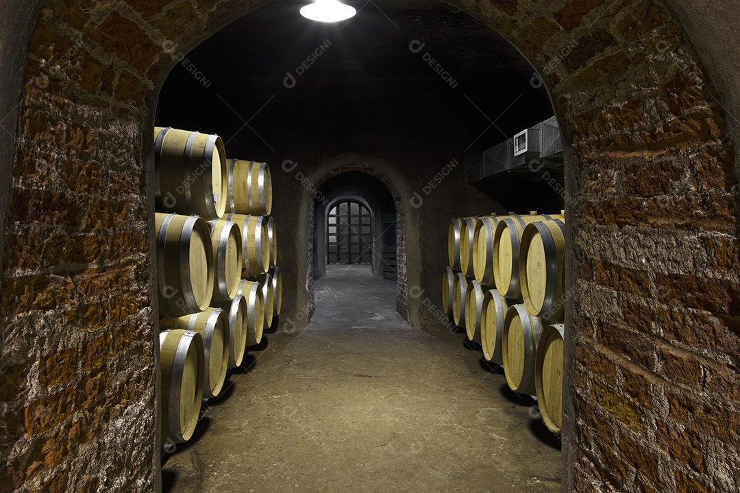 Vinhedo e barricas de madeira