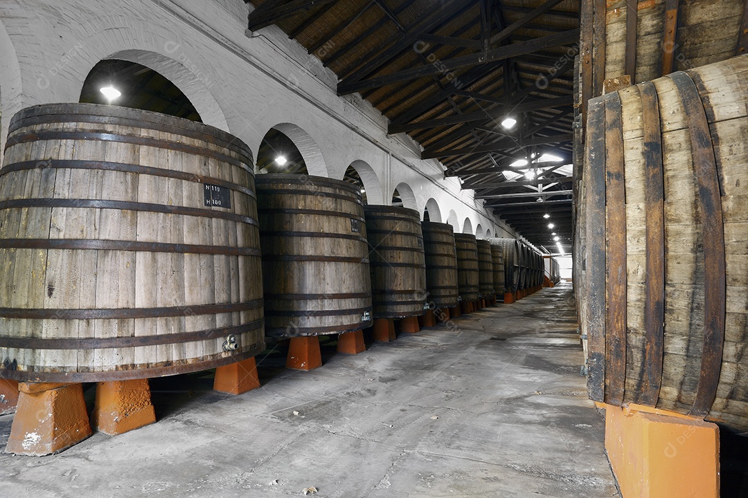 Vinhedo e barricas de madeira