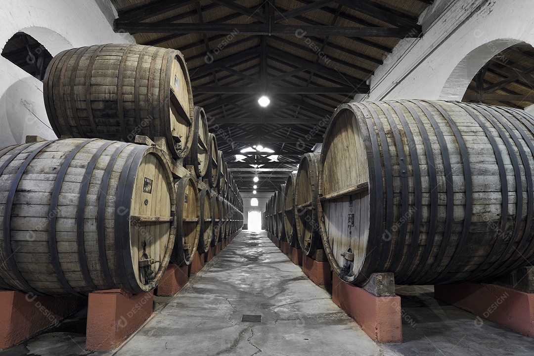 Vinhedo e barricas de madeira