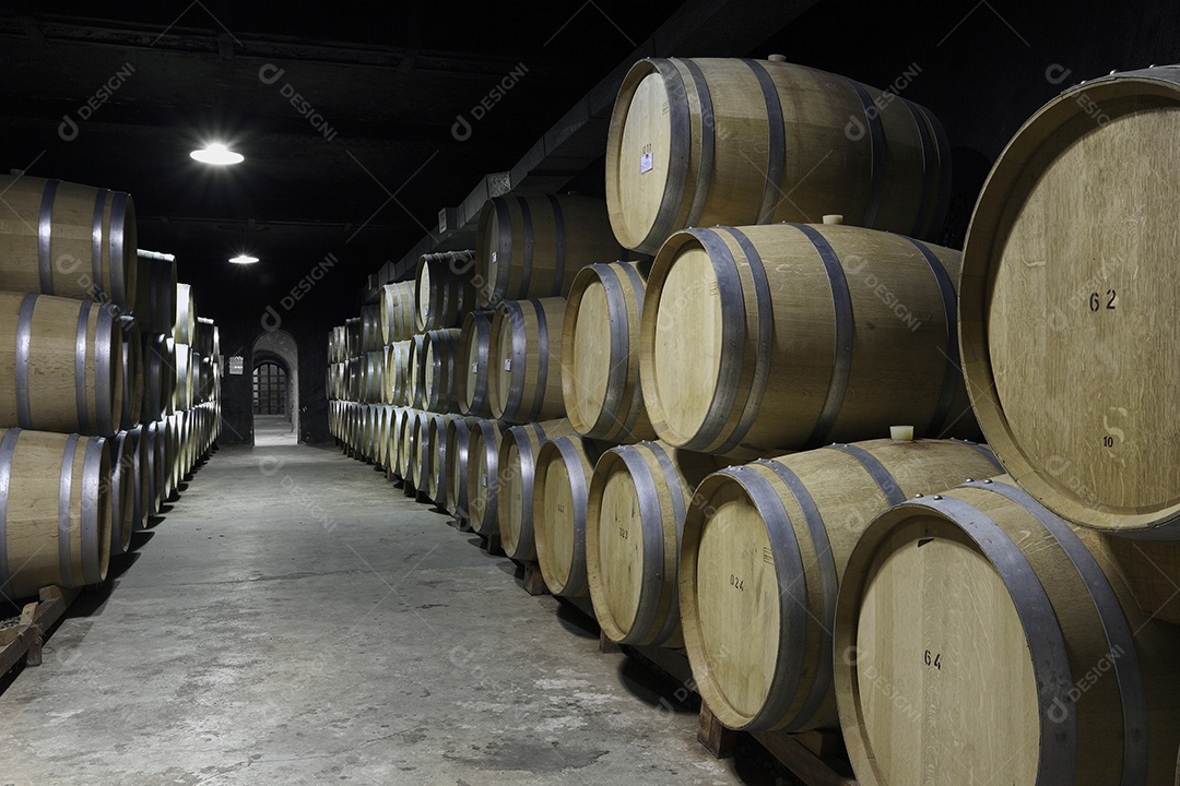 Vinhedo e barricas de madeira