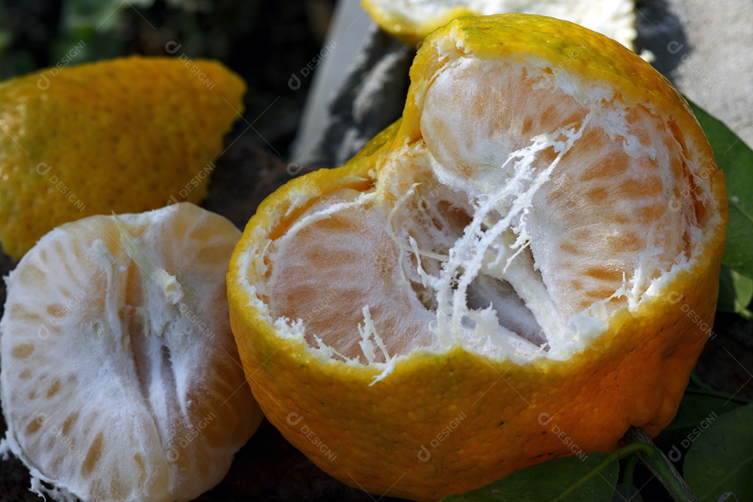 Tangerina ôrganica descascada