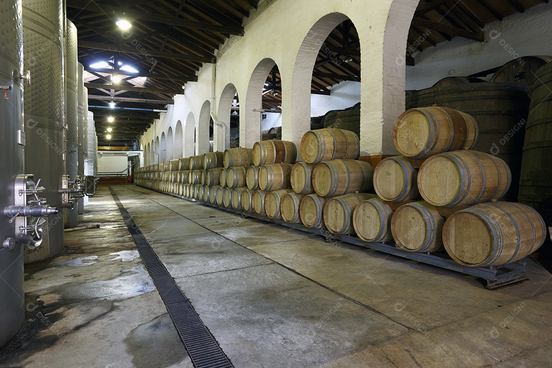 Vinhedo e barricas de madeira
