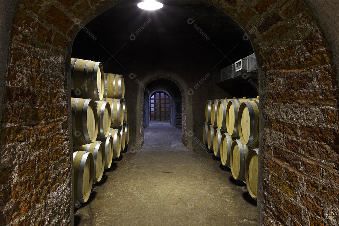 Vinhedo e barricas de madeira