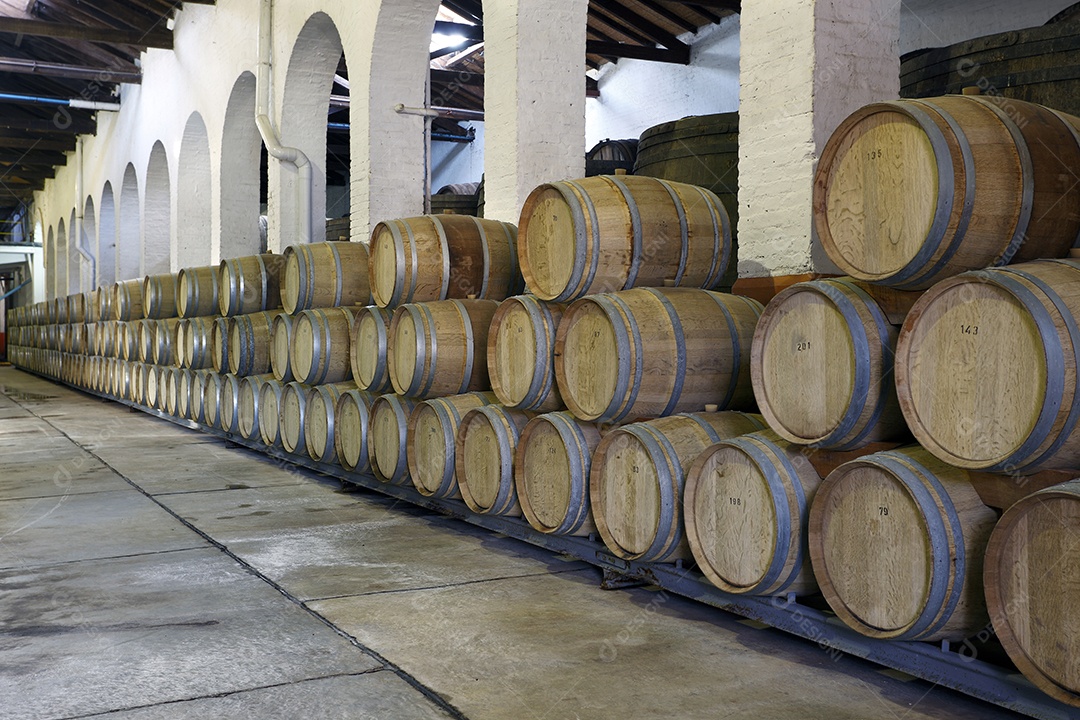 Vinhedo e barricas de madeira
