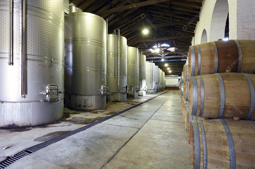 Vinhedo e barricas de madeira