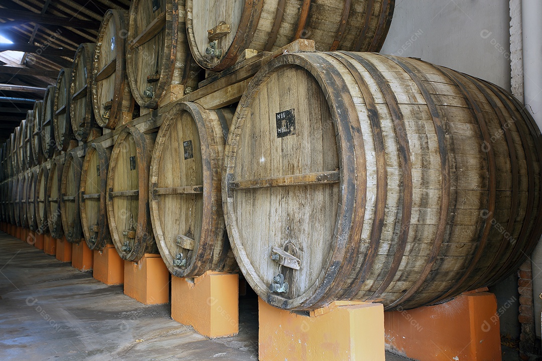Vinhedo e barricas de madeira