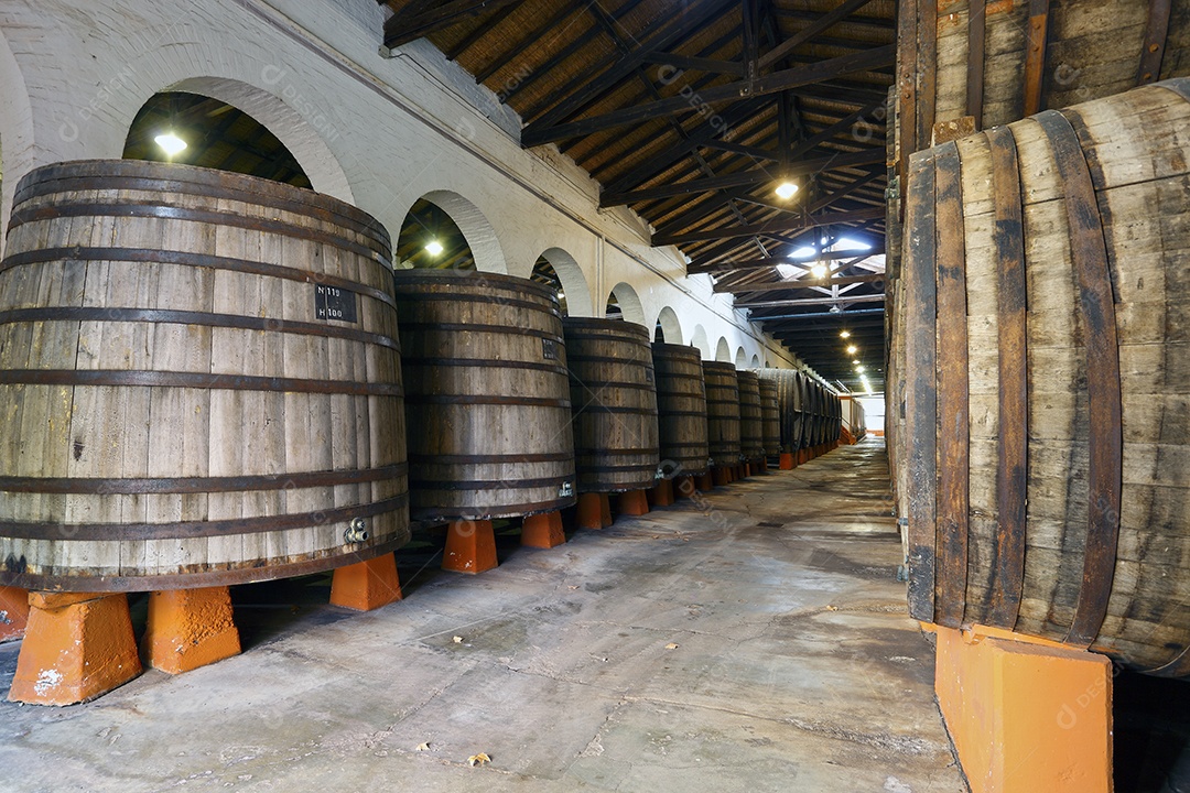 Vinhedo e barricas de madeira