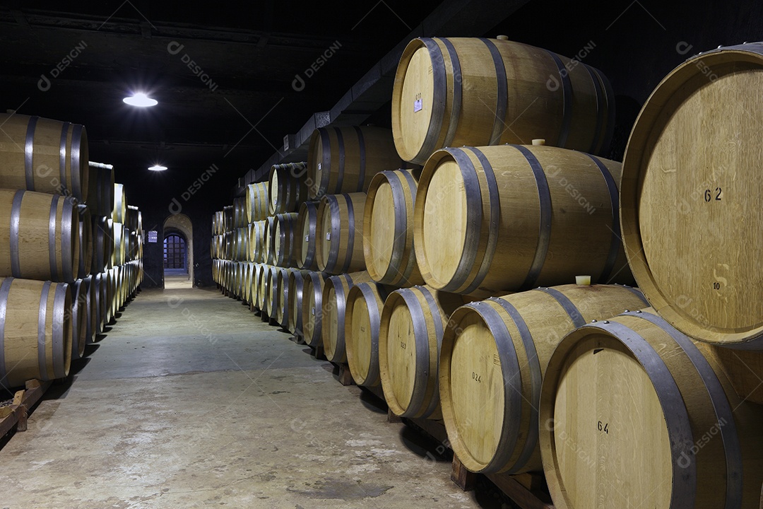 Vinhedo e barricas de madeira