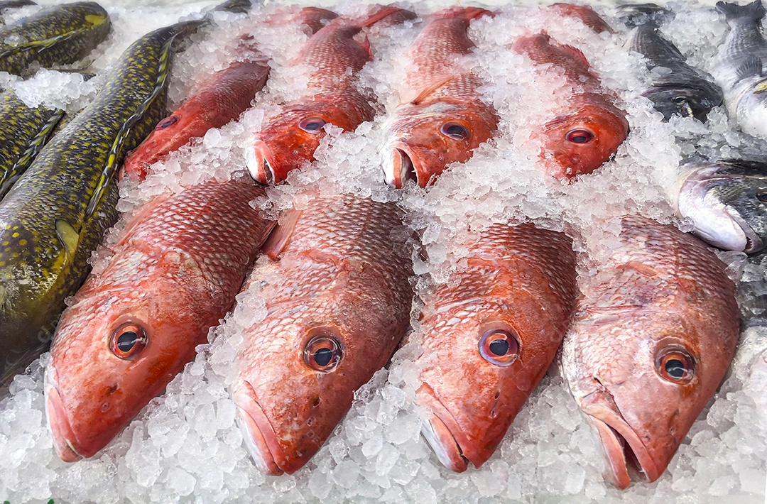 Peixes frescos no grelo