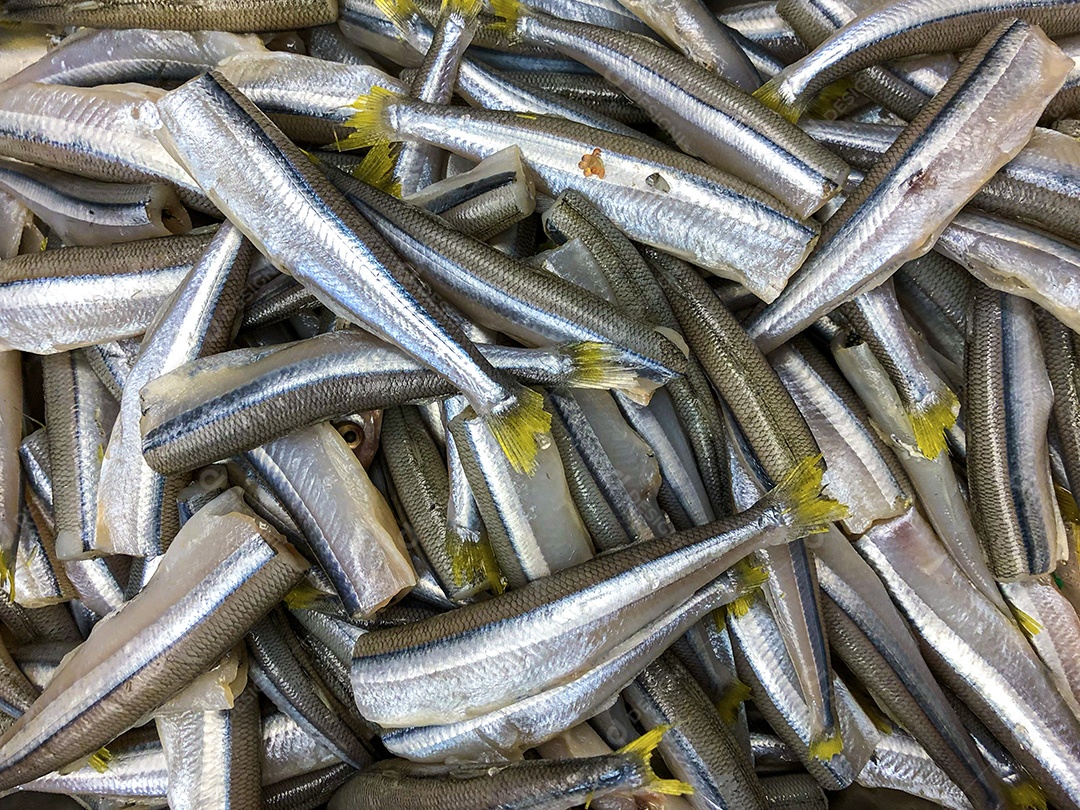 Peixe cheira peixeiro mercado de alimentos