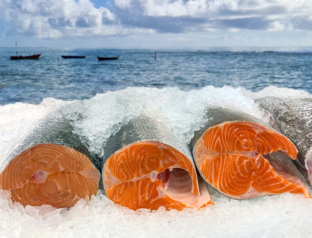 Salmão fresco no gelo