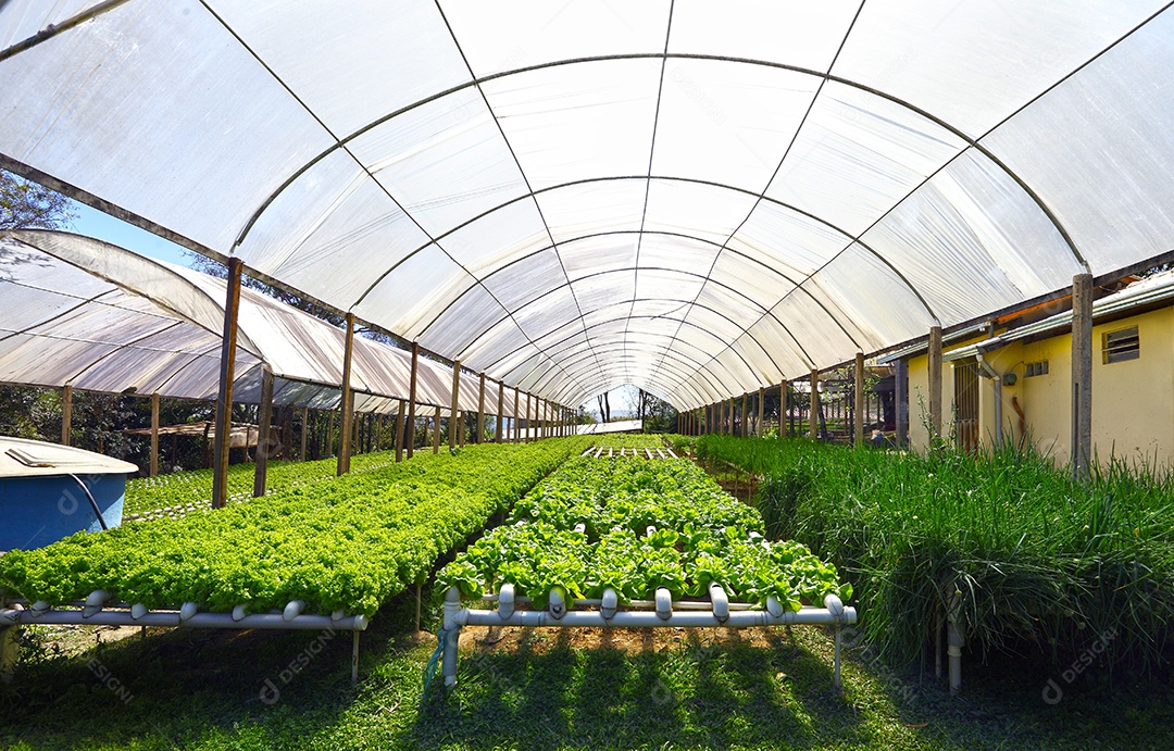 Horta ôrganica suspensa