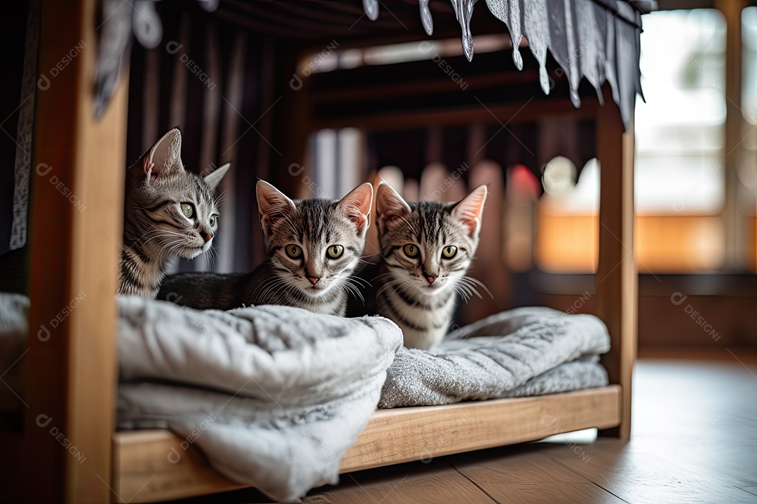 Lindos gatinhos juntos