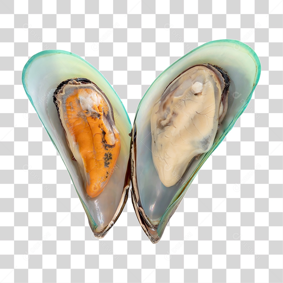 Ostras PNG Transparente