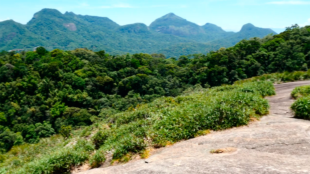 Linda vista aérea de cidade com vista ao mar