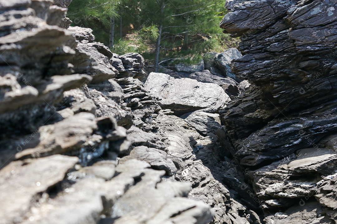 Detalhes da praia da Foca em Búzios no Rio de Janeiro.
