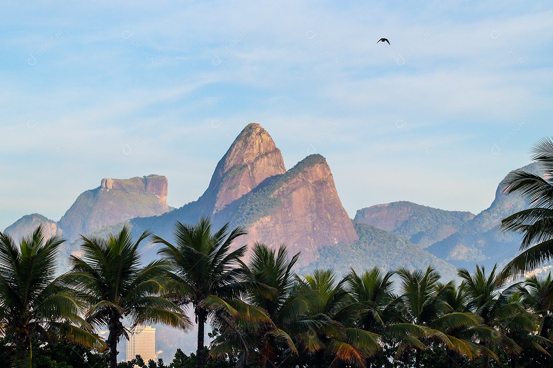 Dois Hill Brother no Rio de Janeiro.