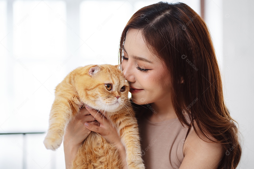 Gato brincalhão feliz brincalhão em uma casa. Amizade de animais de estimação e estilo de vida humano.
