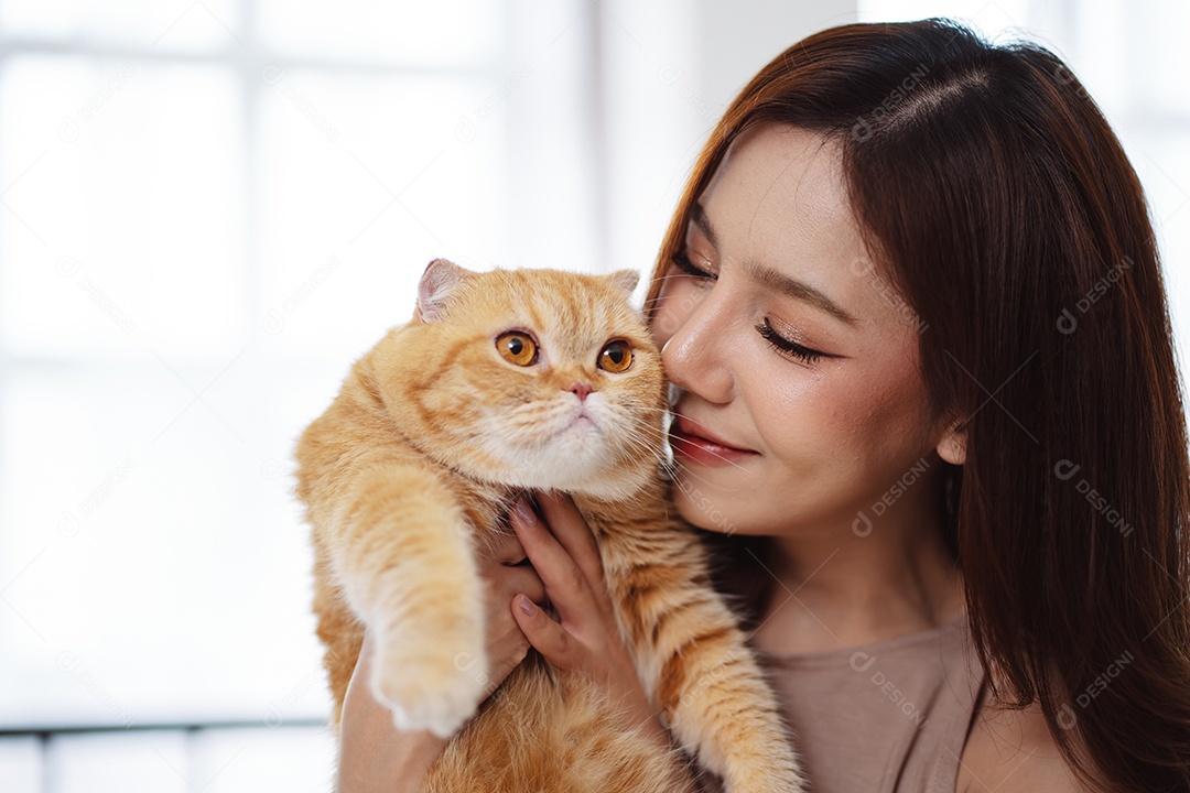 Gato brincalhão feliz brincalhão em uma casa. Amizade de animais de estimação e estilo de vida humano.