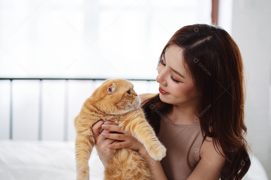 Gato brincalhão feliz brincalhão em uma casa. Amizade de animais de estimação e estilo de vida humano.