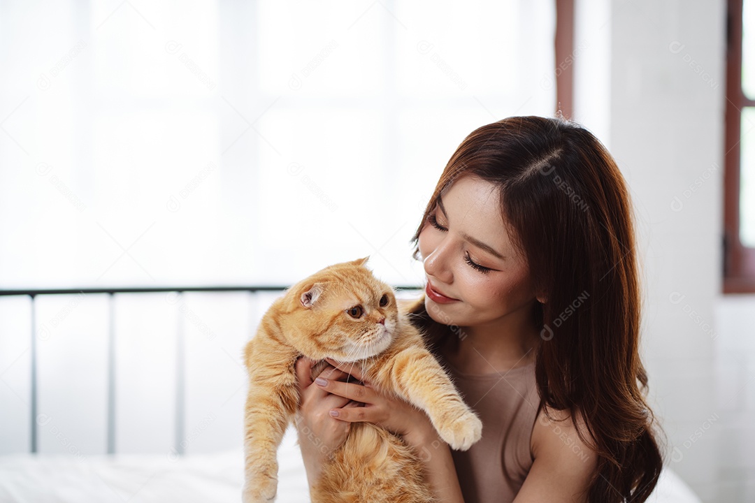 Gato brincalhão feliz brincalhão em uma casa. Amizade de animais de estimação e estilo de vida humano.