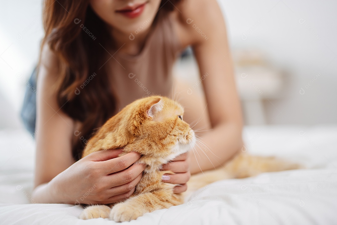 Gato brincalhão feliz brincalhão em uma casa. Amizade de animais de estimação e estilo de vida humano.