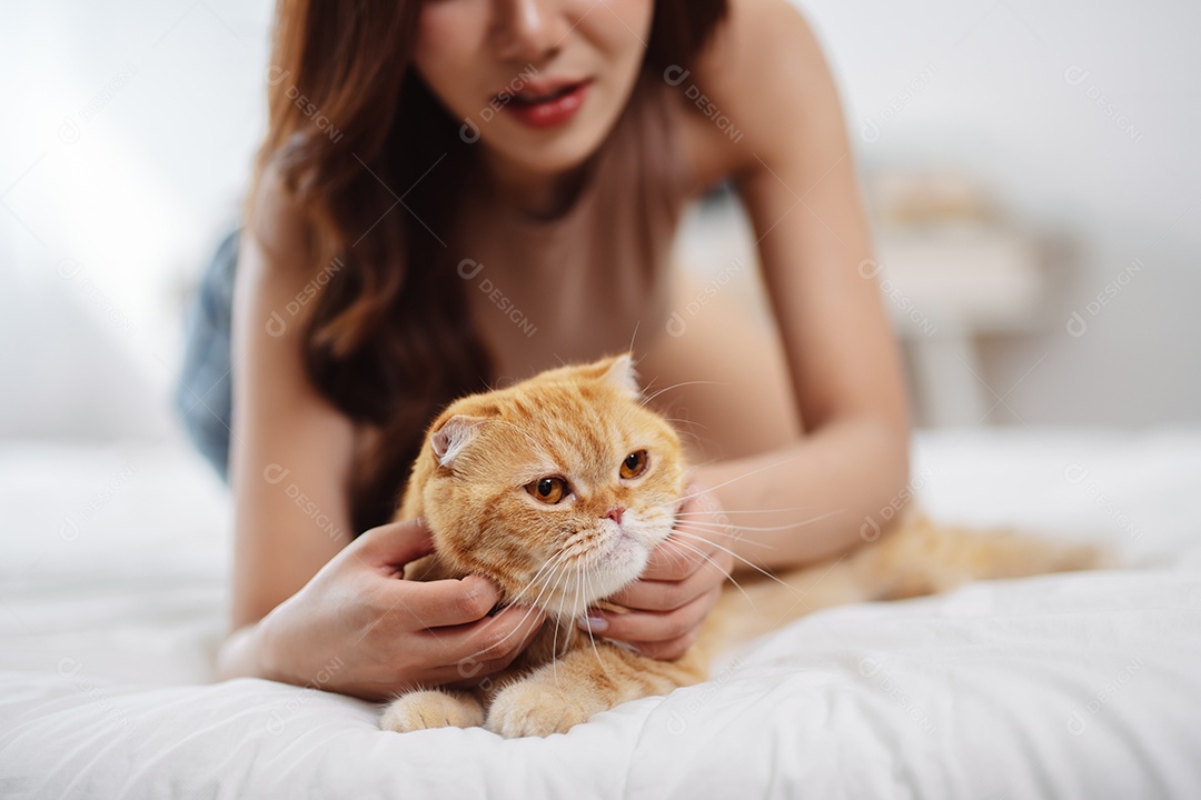 Gato brincalhão feliz brincalhão em uma casa. Amizade de animais de estimação e estilo de vida humano.