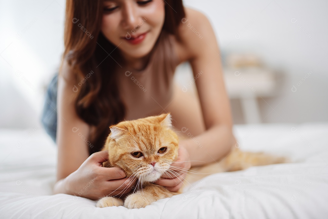 Gato brincalhão feliz brincalhão em uma casa. Amizade de animais de estimação e estilo de vida humano.